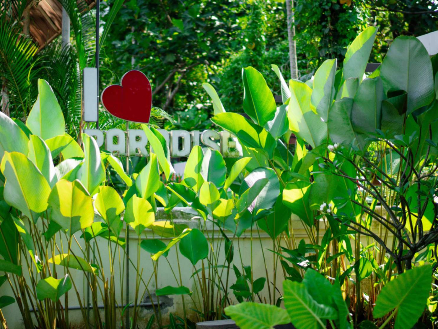 Mountain Retreat Sanctuary